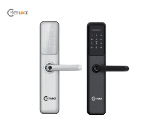 Khóa vân tay cửa gỗ Cyber - WL55