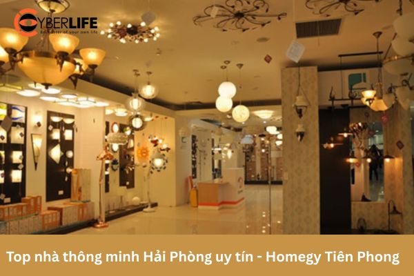 top-nha-thong-minh-hai-phong-uy-tin-homegy-tien-phong